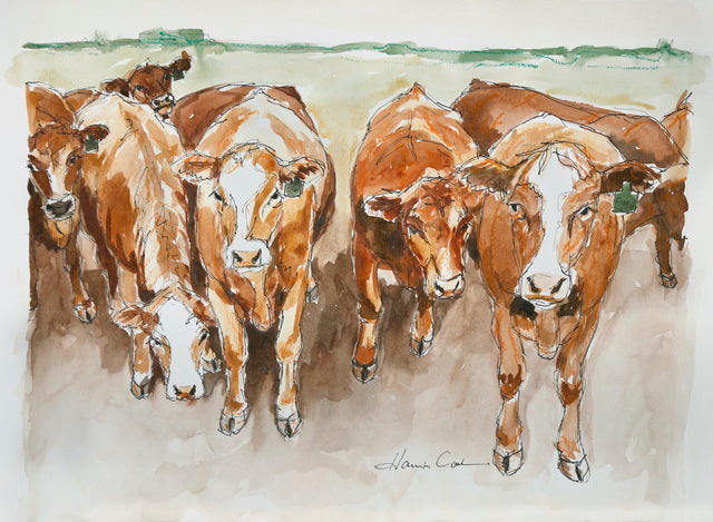 "Simmentals" Art Print