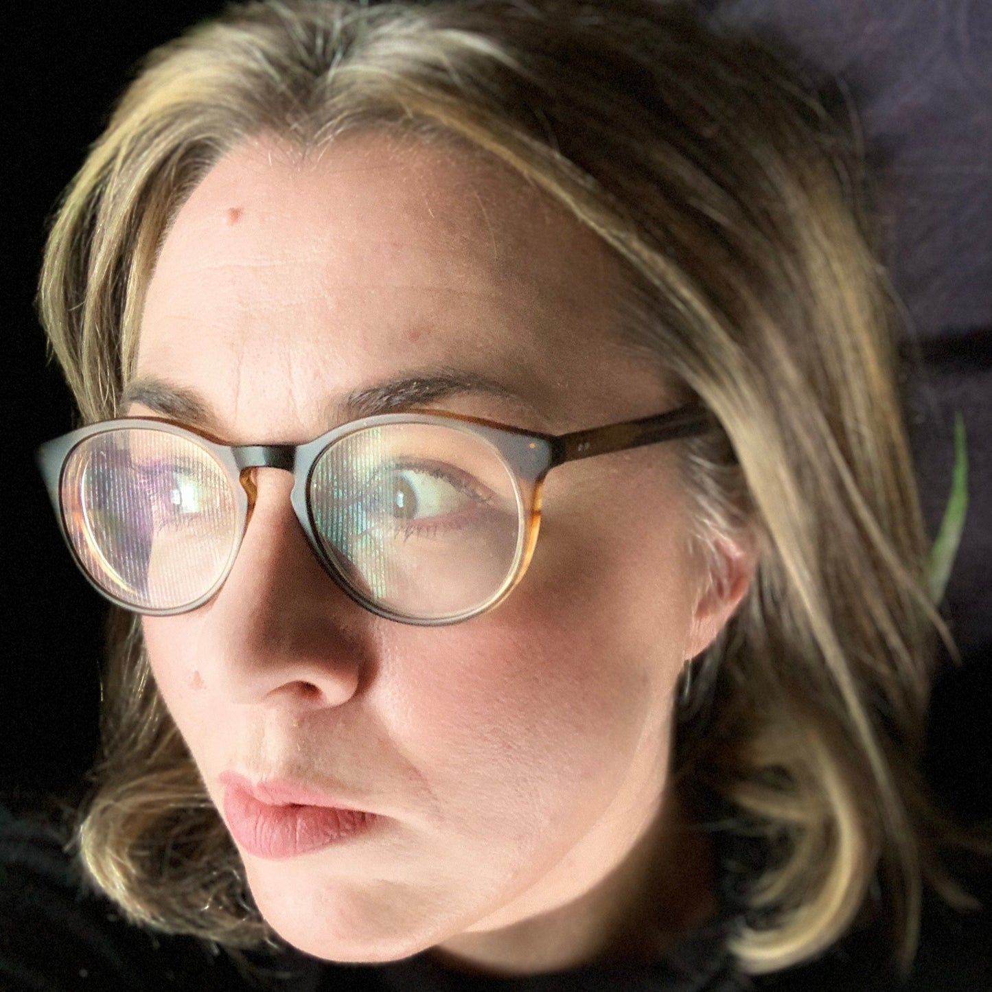Ariel Haug