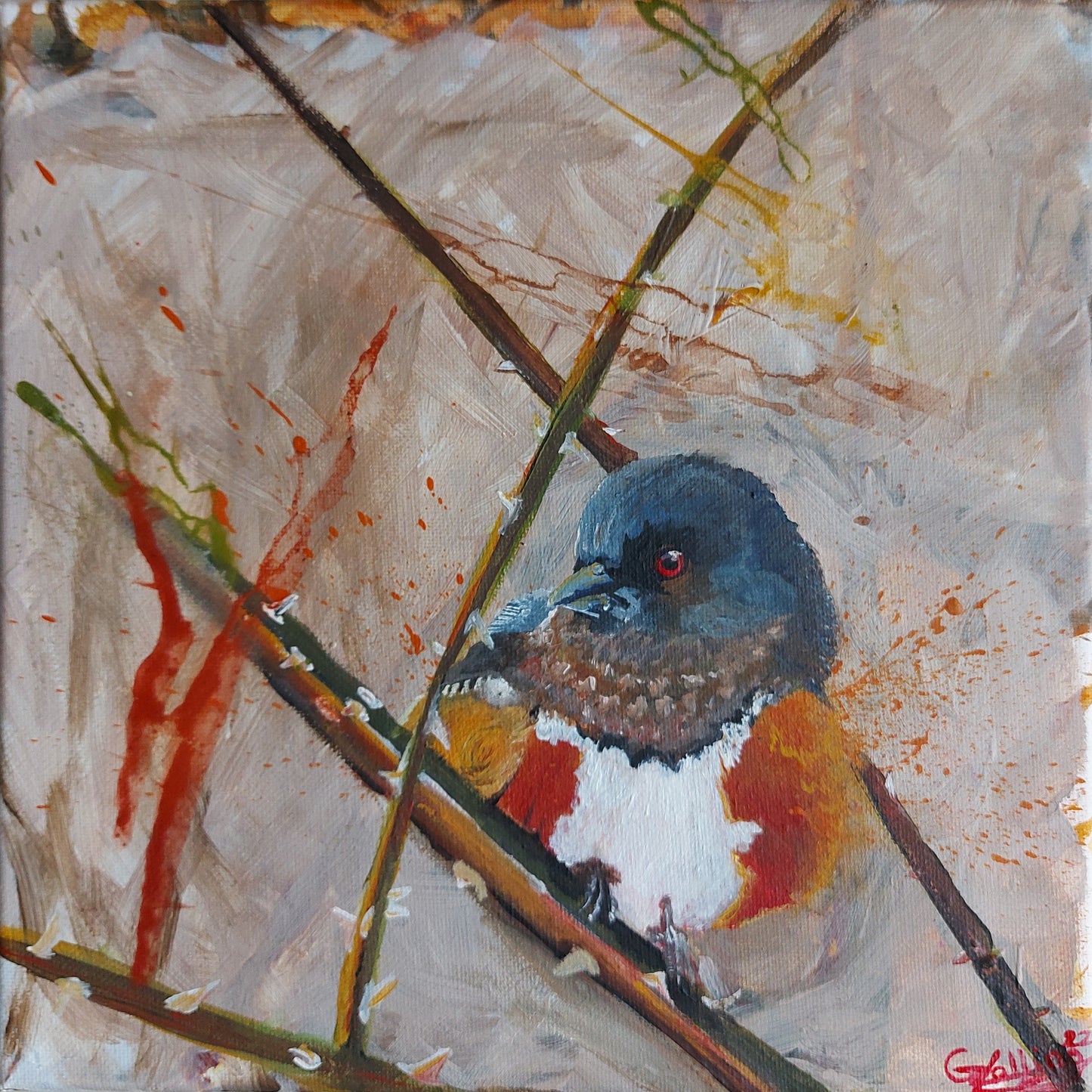Song Birds and Birds of the Meadow #2 -  Tobi's Birds