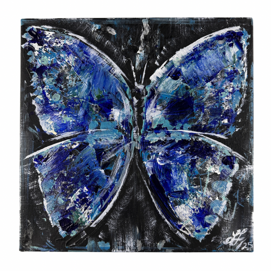 Blue Morpho Butterfly 2