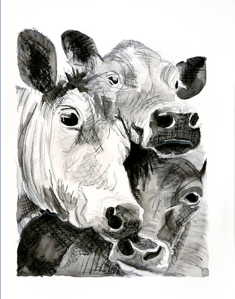 "Three Steers" 8x10 Print