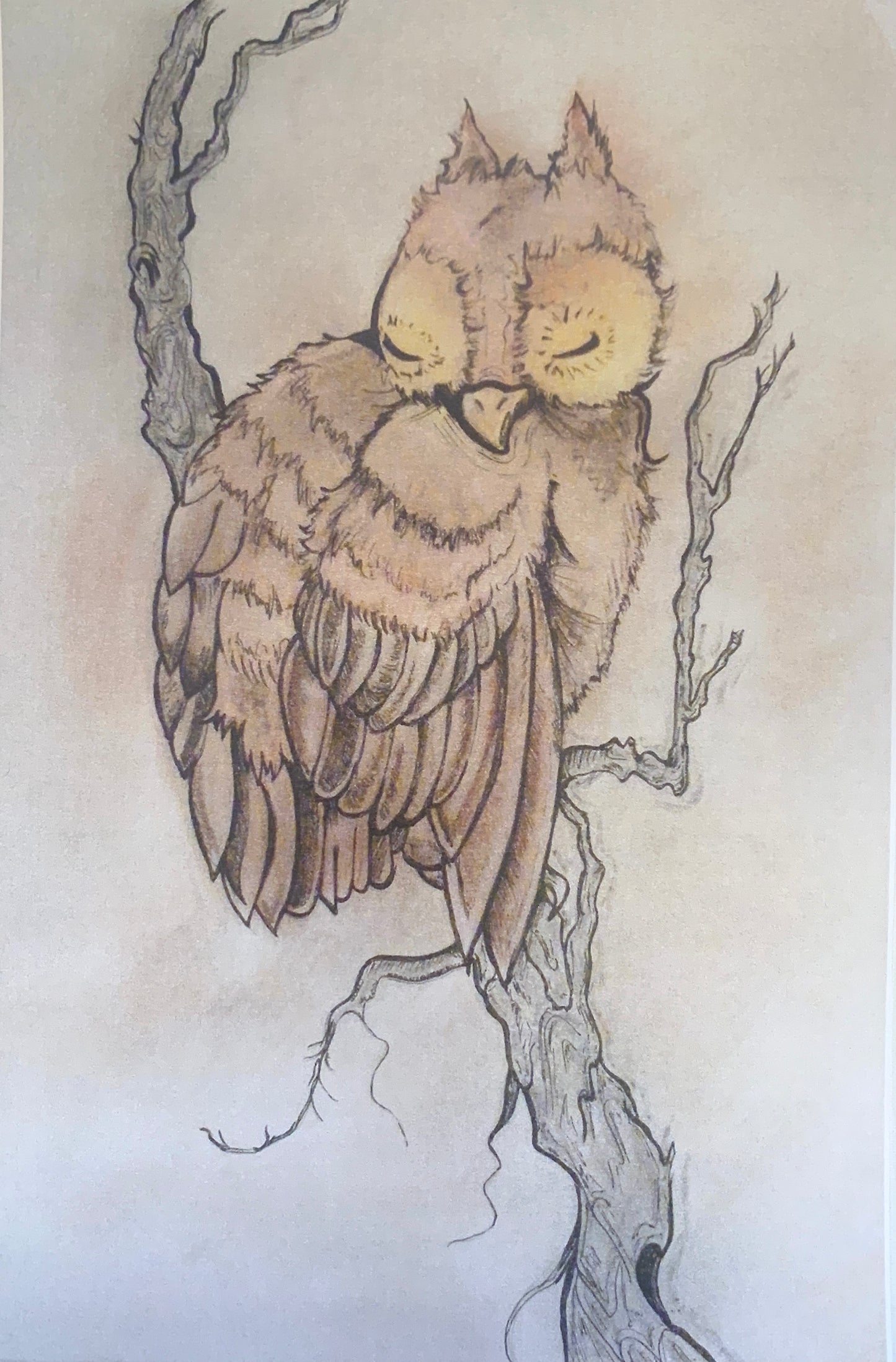 Owl Pastel (Print)